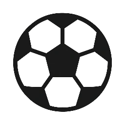 Fußball Trainer